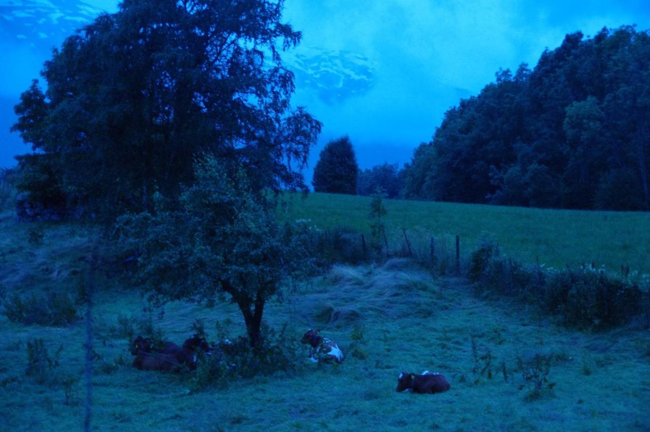 Orheimstunet - Gardsferie For Storfamilien Der Ogsa Hunden Er Velkommen Starheim Exteriér fotografie